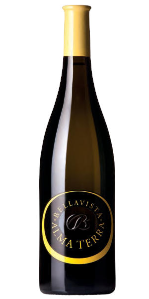 bottiglia Bellavista Curtefranca Alma Terra