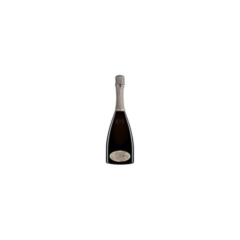 Immagine spumante Bellavista, Franciacorta DOCG brut satèn 2012